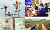 Quy định mới về giá điện, đăng ký thuế từ tháng 2
