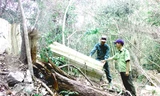 Kiểm lâm Khu BTTN Ea Sô kiểm tra hiện trường phá rừng