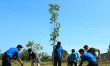 Các đại biểu trồng cây xanh