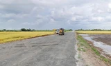 Dự án Đường tỉnh 922 tại Cần Thơ.