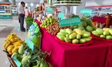 Nhiều loại rau quả rớt giá, ngành hàng này vẫn tăng trưởng xuất khẩu 2 con số