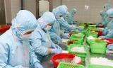 Xuất khẩu tôm 11 tháng đầu năm nay đạt trên 3,5 tỷ USD, tăng gần 3% so với cùng kỳ năm ngoái. Ảnh: CK