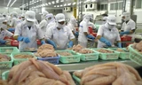Xuất khẩu thủy sản cán đích 10 tỷ USD, nhưng... 