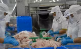 Hơn 2000 doanh nghiệp ở ĐBSCL rút khỏi thị trường