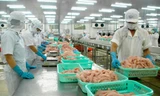 Nhiều mặt hàng thủy sản xuất khẩu của Việt Nam bất ngờ 'lao dốc'