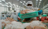 Cá tra Việt Nam 'đi' hội chợ thủy sản toàn cầu ở Tây Ban Nha