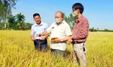 Giáo sư Võ Tòng Xuân đóng góp vô giá cho vựa lúa miền Tây