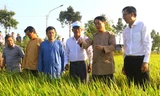 1 triệu ha lúa chất lượng cao: Giảm phát thải khí nhà kính, thích ứng với biến đổi khí hậu