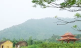 Một góc Ly cung nhà Hồ Ảnh: xuân ba