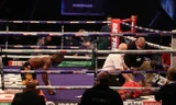 Võ sĩ quỳ gối sau khi hạ đo ván knock-out đối thủ