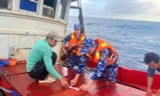 Bắt giữ tàu cá chở 30.000 lít dầu không giấy tờ trên biển Tây Nam