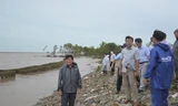 Cà Mau: Triều cường dâng cao 1,7 mét, nhiều đoạn đê biển sạt lở nghiêm trọng
