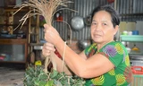 Rộn ràng làng nghề gói bánh ú lá tre dịp Tết Đoan Ngọ ở Cà Mau