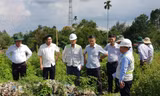 Phương án xử lý bãi rác 'khủng' nằm chắn cao tốc Cần Thơ – Cà Mau