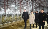 Lãnh đạo tỉnh tỉnh Moscow, đại sứ quán Việt Nam và bà Thái Hương thăm trang trại bò sữa đầu tiên của Tập đoàn TH trên đất Nga