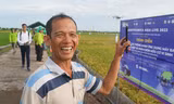 Nông dân phấn khởi