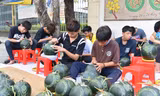 Trẻ khuyết tật khắc dưa hấu thư pháp kiếm thêm thu nhập ngày Tết
