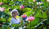 Hành trình đưa sen Đồng Tháp lên tầm cao mới
