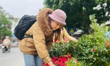 Chợ hoa Hoàng Hoa Thám rực rỡ, náo nhiệt mùa cận Tết