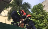 Lực lượng cứu nạn cứu hộ tiếp cận người đàn ông đòi nhảy lầu tự vẫn. Ảnh: PCCC cung cấp