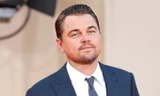 Leonardo DiCaprio gửi thư ngỏ cho Tổng thống Mỹ Joe Biden