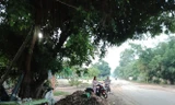 Hiện trường vụ việc