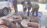 Bắt gần 300 kg nội tạng động vật hôi thối trên đường đi tiêu thụ