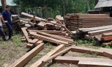 Phát hiện số lượng lớn gỗ lậu trong trụ sở UBND xã