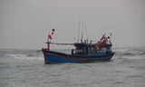 Vào đảo Hải Nam trú bão, một tàu cá xa bờ mất liên lạc 20 ngày
