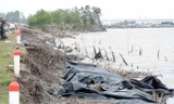 Ban bố tình huống khẩn cấp sạt lở đê biển Tây Cà Mau