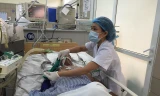 Điều trị cho bệnh nhân tại Trung tâm Chống độc Bạch Mai, Hà Nội