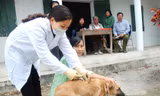 Bộ Y tế ra khuyến cáo sử dụng vắc xin kịp thời để phòng bệnh dại, căn bệnh thường tăng cao vào mùa nắng nóng từ tháng 5 đến tháng 8 hàng năm. Ảnh minh họa: Internet