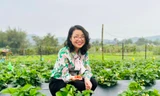 Vườn dâu tây chín mọng của ông chủ 9x xứ Nghệ 