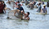 Cả trăm người 'đội nắng', lặn ngụp nơm cá dưới hồ