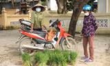 Độc đáo chợ bán cây lúa non như bán rau