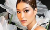 Lý do gì “bà trùm Hoa hậu” nhìn Miss Grand Đoàn Thiên Ân mà lại nhớ đến Trần Tiểu Vy?