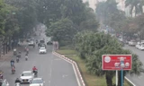 Dải phân cách giữa tuyến đường Hoàng Quốc Việt hiện nay.