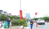 Hà Nội cắt tỉa cây xanh, chỉnh trang đường phố trên diện rộng