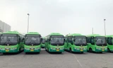 Xe buýt vận hành trên 3 tuyến mở mới từ 1/4 là xe đời mới.