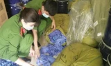Lực lượng chức năng phát hiện số lượng lớn găng tay không có hoá đơn chứng từ.