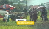 Hà Nội: Nghi vấn ‘bảo kê’ dịch vụ gặt lúa, nông dân rơi nước mắt