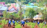 Trồng cây xanh, tạo không gian xanh thu hút du lịch ở Đắk Nông
