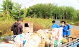 Hơn 13.000 đoàn viên thanh niên Tây Nguyên hưởng ứng ‘Ngày chủ nhật xanh’