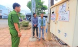 Hai đối tượng gây ra hơn 50 vụ cắt trộm dây điện liên tỉnh