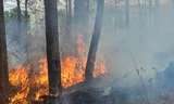Lửa cháy đỏ rực rừng thông ở Đắk Nông
