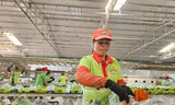 CEO Hạnh Chuối: ‘Giờ tôi ngồi một chỗ cũng có đơn hàng’