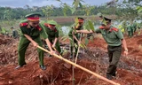 Đắk Nông phát động, trồng hàng nghìn cây xanh nhân dịp sinh nhật Bác