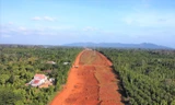 Đắk Lắk thu hồi gần 25 héc-ta rừng làm cao tốc Khánh Hoà – Buôn Ma Thuột