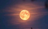 Loạt ảnh "Trăng máu hải ly" tuyệt đẹp: Nguyệt thực toàn phần cuối cùng của năm 2022!