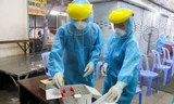 2 ca nghi nhiễm COVID-19 mới tại Đà Nẵng di chuyển qua những địa điểm nào?